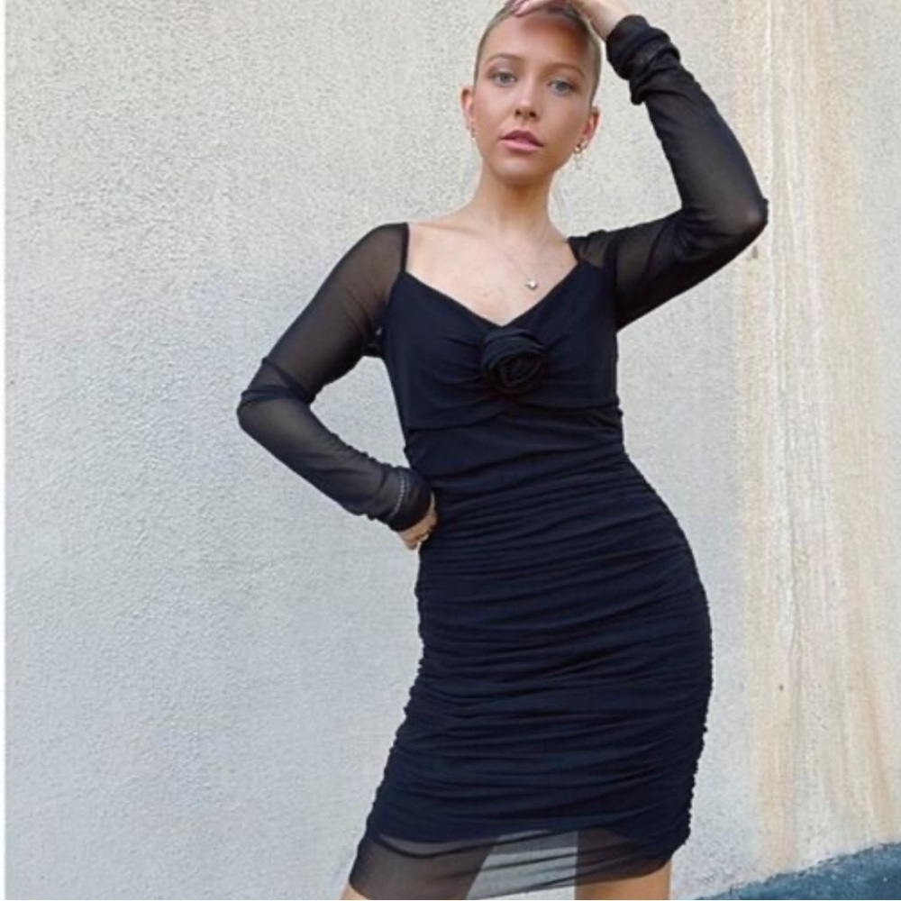 C&V Chelsea & Violet
Long Sleeve V-Neck Rosette Mesh Dress - Picture 9 of 10